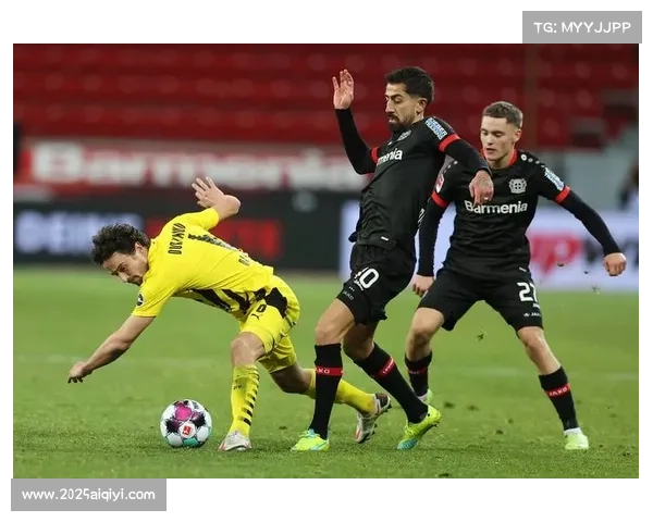 勒沃库森球迷客场高歌助威，赛后清理看台获好评